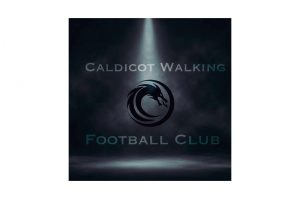 Walking Sports Event