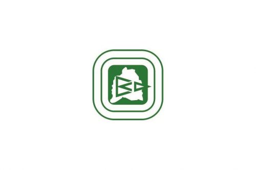 Walking Sports Event