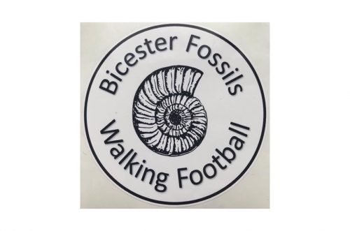 Walking Sports Event