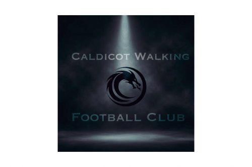 Walking Sports Event