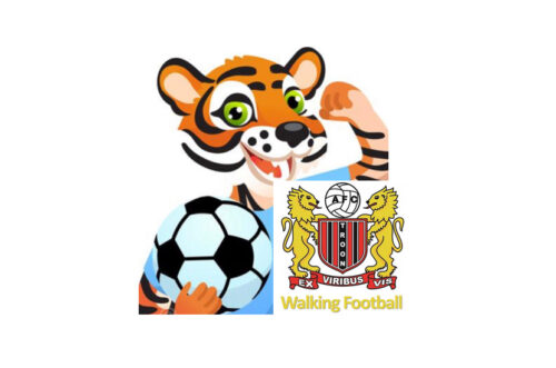 Walking Sports Event